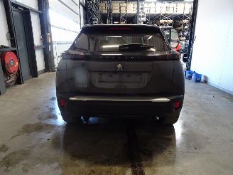 Peugeot 2008 1.2 THP picture 2