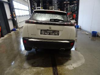 Peugeot 2008 1.2 THP picture 2