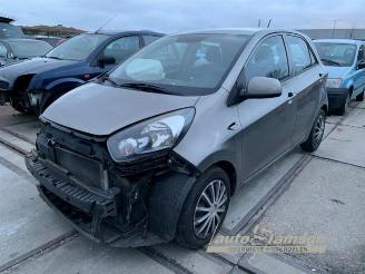 Dezmembrări autoturisme Kia Picanto Picanto (TA), Hatchback, 2011 / 2017 1.0 12V 2013/11