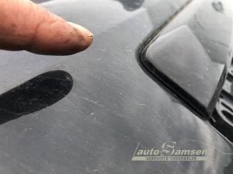 Nissan X-Trail X-Trail (T30), SUV, 2001 / 2013 2.0 16V 4x4 picture 23