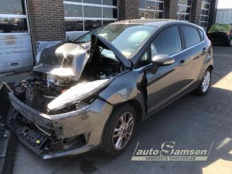 Purkuautot passenger cars Ford Fiesta Fiesta 6 (JA8), Hatchback, 2008 / 2018 1.0 EcoBoost 12V 125 2017/1