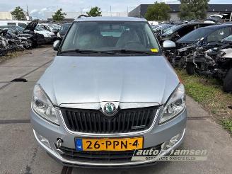 Skoda Fabia Fabia II Combi, Combi 5-drs, 2007 / 2014 1.2 TDI 12V Greenline picture 2