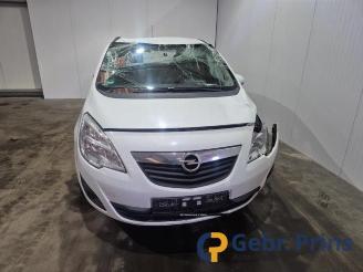 Opel Meriva Meriva, MPV, 2010 / 2017 1.4 16V Ecotec picture 2