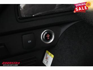 Ford Kuga 2.5 PHEV ST-Line X LED ACC Apple/Android Camera AHK picture 28