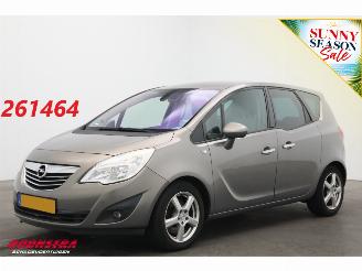 ocasión turismos Opel Meriva 1.7 CDTi Cosmo Clima Cruise PDC AHK 2011/4