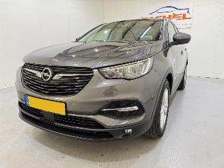Opel Grandland X 1.2T Business Exe Automaat picture 17