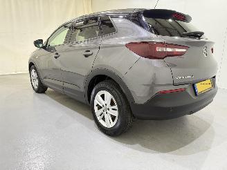 Opel Grandland X 1.2T Business Exe Automaat picture 4