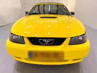 Ford USA Mustang Convertible 3.8 V6 Automaat picture 2
