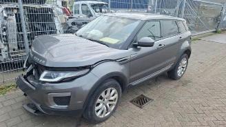 Autoverwertung Land Rover Range Rover Range Rover Evoque (LVJ/LVS), SUV, 2011 / 2019 2.0 D 150 16V 5-drs. 2016