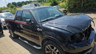 Ford USA F-150 F-150, Pick-up, 2003 / 2008 5.4 V8 4x4 picture 6