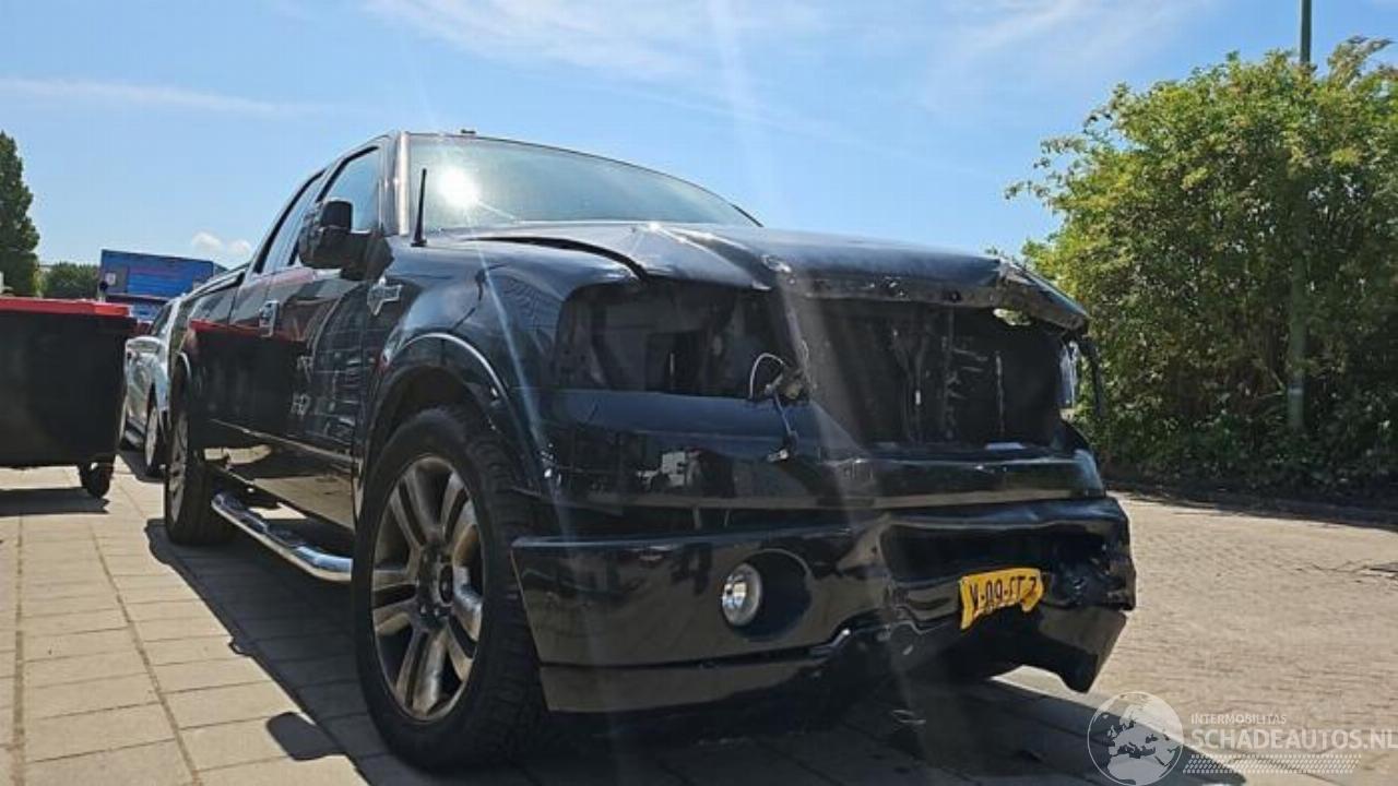 Ford USA F-150 F-150, Pick-up, 2003 / 2008 5.4 V8 4x4