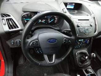 Ford Focus C-Max  picture 15