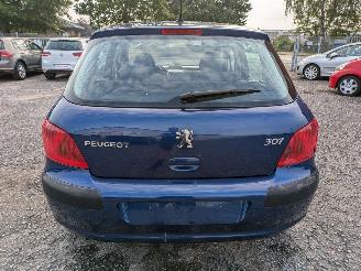 Peugeot 307 1.4 picture 6