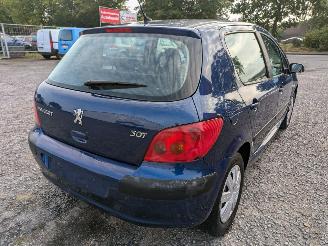 Peugeot 307 1.4 picture 5