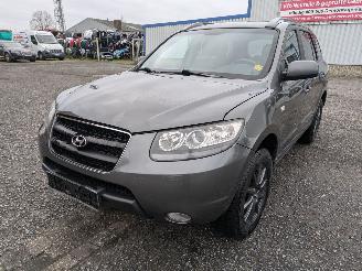 disassembly passenger cars Hyundai Santa Fe 2.2 2007/1
