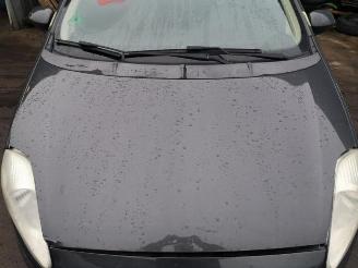 Fiat Grande Punto Grande Punto (199), Hatchback, 2005 1.4 picture 1