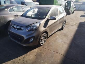 Vrakbiler auto Kia Picanto Picanto (TA), Hatchback, 2011 / 2017 1.0 12V 2012/3
