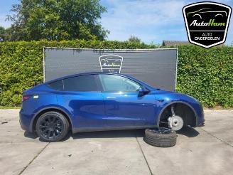 demontáž osobní automobily Tesla Model Y Model Y (5YJY), SUV, 2019 Long Range 72kWh 2023