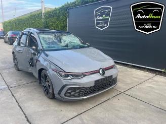 Volkswagen Golf Golf VIII (CD1), Hatchback, 2019 2.0 GTI 16V picture 3