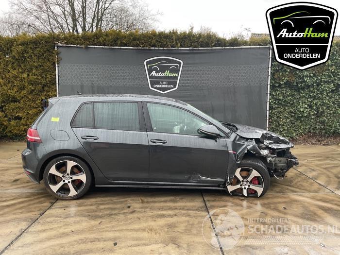 Volkswagen Golf Golf VII (AUA), Hatchback, 2012 / 2021 2.0 GTI 16V Performance Package