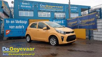 Purkuautot passenger cars Kia Picanto Picanto (JA), Hatchback, 2017 1.0 12V 2018/8