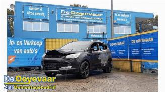 Ford Kuga Kuga II (DM2), SUV, 2012 2.0 TDCi 16V 163 4x4 picture 5