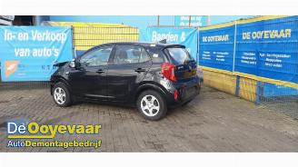 Auto da rottamare Kia Picanto Picanto (JA), Hatchback, 2017 1.0 12V 2020/3