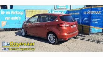 Salvage car Ford C-Max C-Max (DXA), MPV, 2010 / 2019 1.0 Ti-VCT EcoBoost 12V 125 2017/4