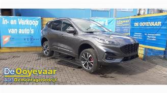 Auto da rottamare Ford Kuga Kuga III (DFK), SUV, 2019 2.5 PHEV 16V 2021/8