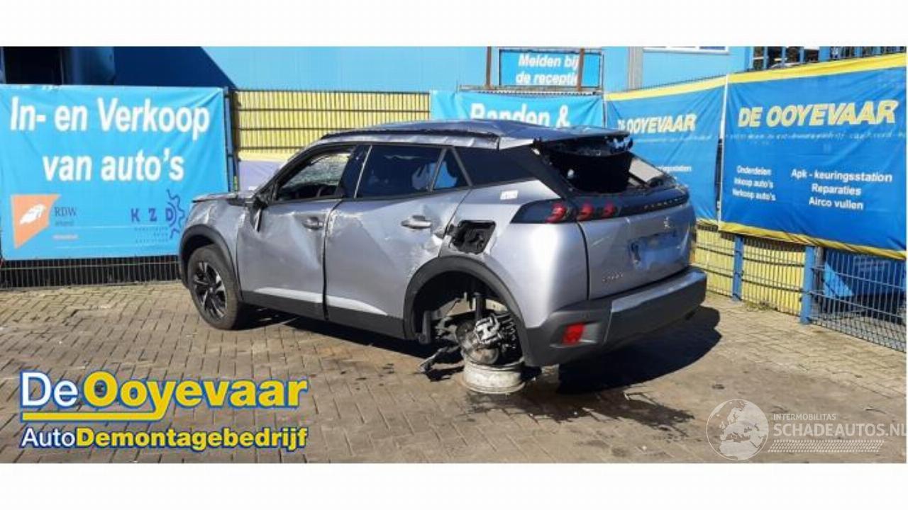 Peugeot 2008 2008 (UD/UK/UR/US/UX), MPV, 2019 1.2 VTi 12V PureTech 100