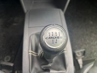 Volkswagen Polo Polo cross picture 9