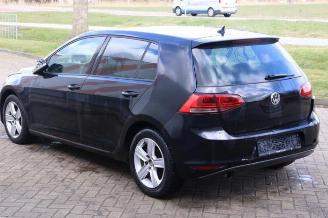 Volkswagen Golf Golf VII (AUA), Hatchback, 2012 / 2021 1.6 TDI 16V picture 5