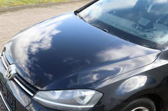 Volkswagen Golf Golf VII (AUA), Hatchback, 2012 / 2021 1.6 TDI 16V picture 19