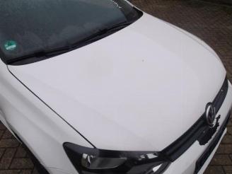 Volkswagen Polo Polo V (6R), Hatchback, 2009 / 2017 1.2 TDI 12V BlueMotion picture 12