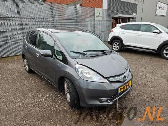 Honda Jazz Jazz (GE6/GE8/GG/GP), Hatchback, 2008 / 2015 1.3 VTEC 16V Hybrid picture 2