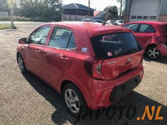 Kia Picanto Picanto (JA), Hatchback, 2017 1.0 12V picture 2
