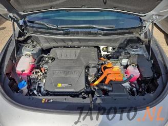 Kia Niro Niro II (SG), SUV, 2022 1.6 GDI Hybrid picture 13