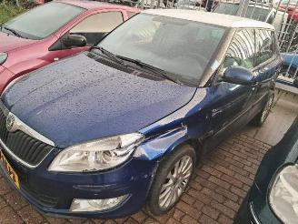 Purkuautot passenger cars Skoda Fabia Fabia II (5J), Hatchback 5-drs, 2006 / 2014 1.2 TSI 2010/5