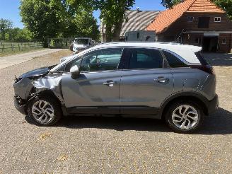 Opel Crossland PANODAK picture 14
