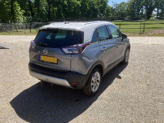 Opel Crossland PANODAK picture 10