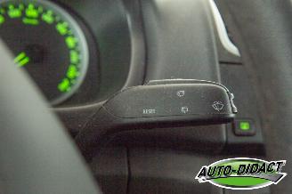 Skoda Fabia Combi 1.4 TDI Airco Greenline picture 11