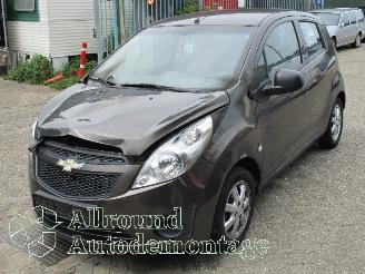 Chevrolet Spark Spark (M300) Hatchback 1.0 16V Bifuel (LMT) [48kW]  (07-2010/12-2015) picture 1