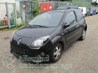 Sloopauto Renault Twingo Twingo II (CN) Hatchback 3-drs 1.2 16V (D4F-772(D4F-J7)) [56kW]  (03-2=
007/09-2014) 2009