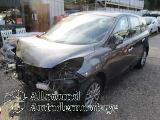 rozbiórka samochody osobowe Renault Scenic Grand Scénic III (JZ) MPV 1.4 16V TCe 130 (H4J-700(H4J-A7)) [96kW]  =
(02-2009/12-2016) 2010