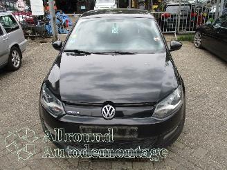 Volkswagen Polo Polo V (6R) Hatchback 1.2 TDI 12V BlueMotion (CFWA(Euro 5)) [55kW]  (1=
0-2009/05-2014) picture 5