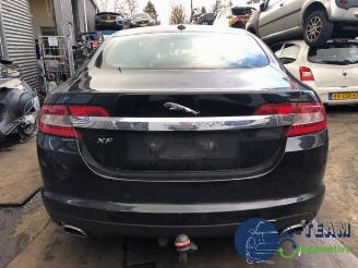 Vrakbiler auto Jaguar XF XF (CC9), Sedan, 2008 / 2015 3.0 D V6 24V 2010/8