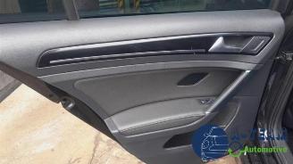 Volkswagen Golf Golf VII (AUA), Hatchback, 2012 / 2021 2.0 GTD 16V picture 24