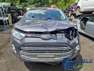 Ford EcoSport EcoSport (JK8), SUV, 2013 1.0 EcoBoost 12V 125 picture 15