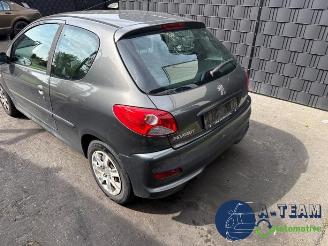 Peugeot 206 206+ (2L/M), Hatchback, 2009 / 2013 1.1 XR,XS picture 7