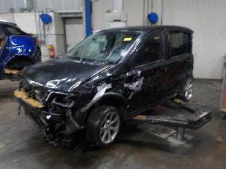 Sloopauto Fiat Panda Panda (169) Hatchback 1.4 16V (169.A.3000) [74kW]  (10-2006/12-2009) 2008/8